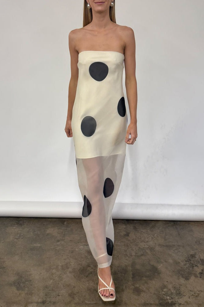 Polka Dot Bodycon Cami Maxi Dress – PrincessAce