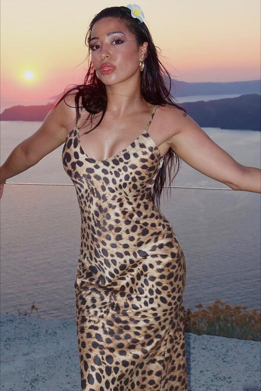 Sexy Leopard Print V Neck Slim Maxi Dress