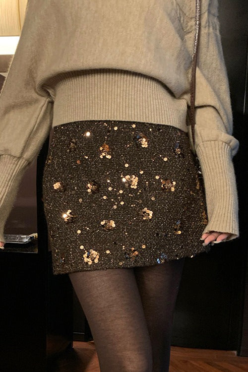 Sequin Embroidered High Waist A-line Fitted Short Skirt