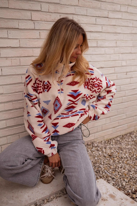 Turtle Colorblock Print Thick Sweatshirt