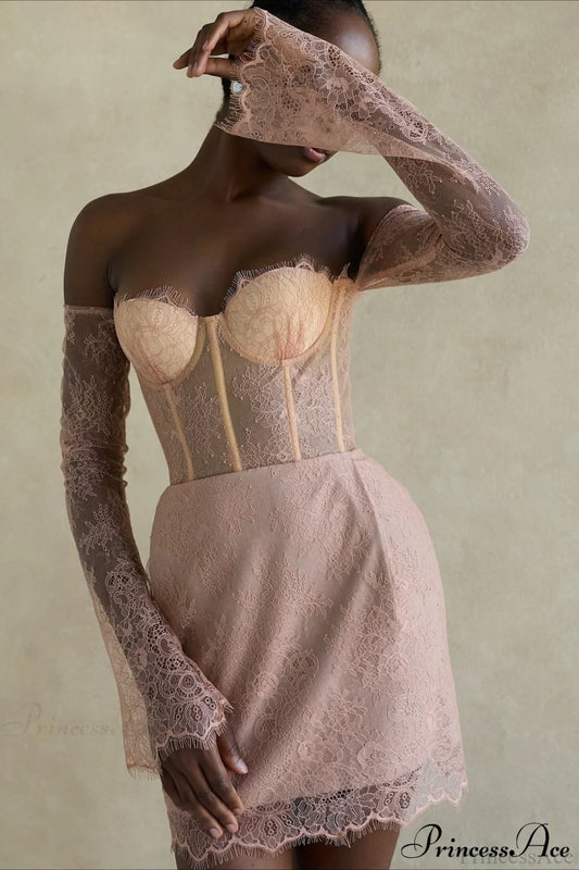 Elegant Sexy Lace Sheer Party Dress