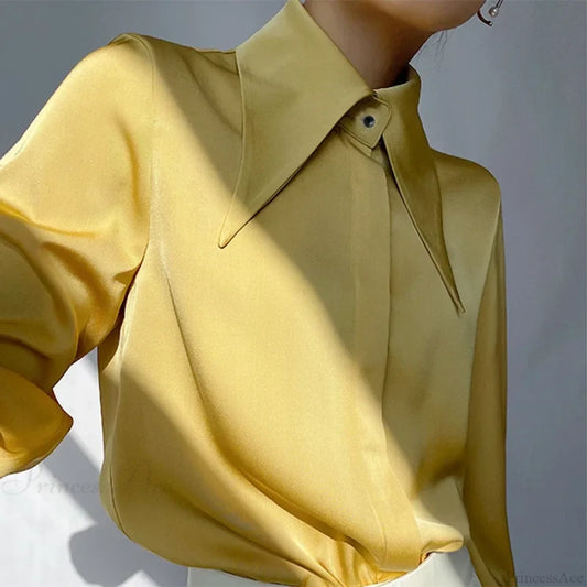 Vintage Satin Silk Turn Down Collar Blouse blouse-250223