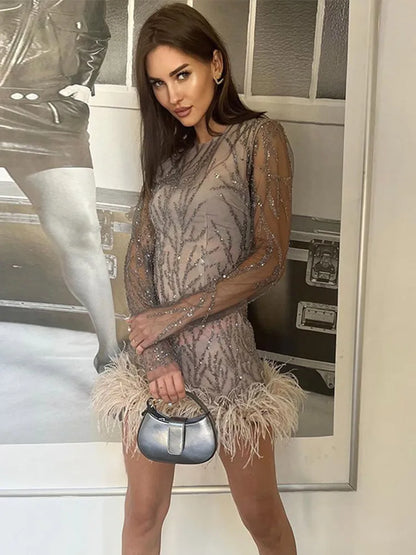 Feather Mesh Sheer Sleeve Party Dress