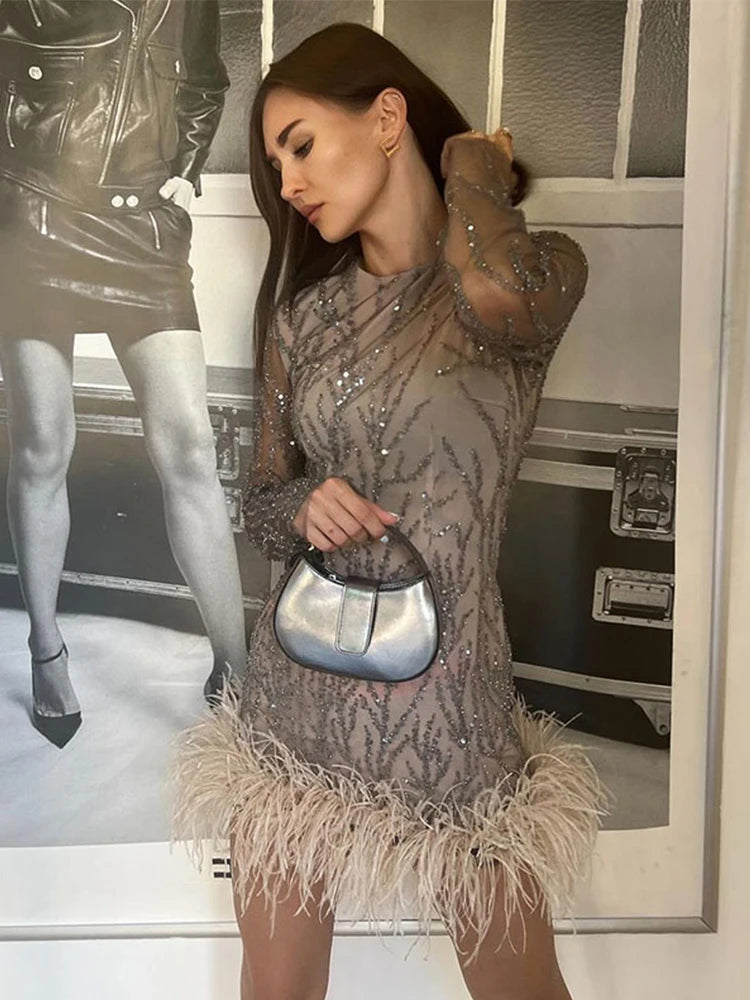 Feather Mesh Sheer Sleeve Party Dress