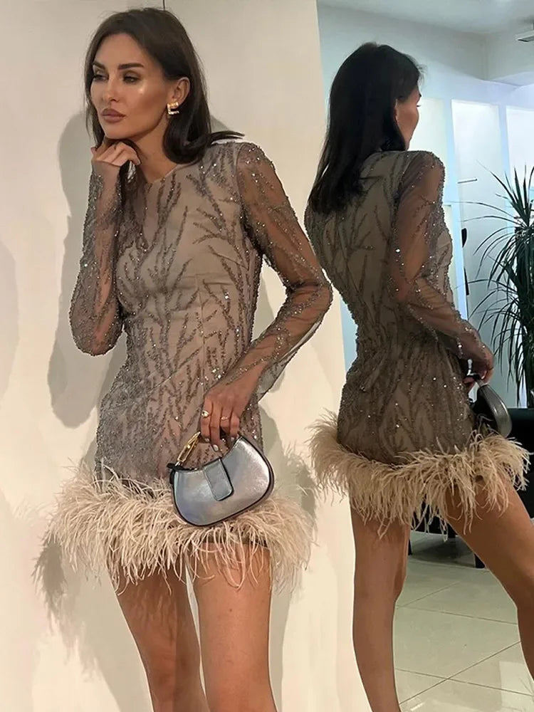 Feather Mesh Sheer Sleeve Party Dress