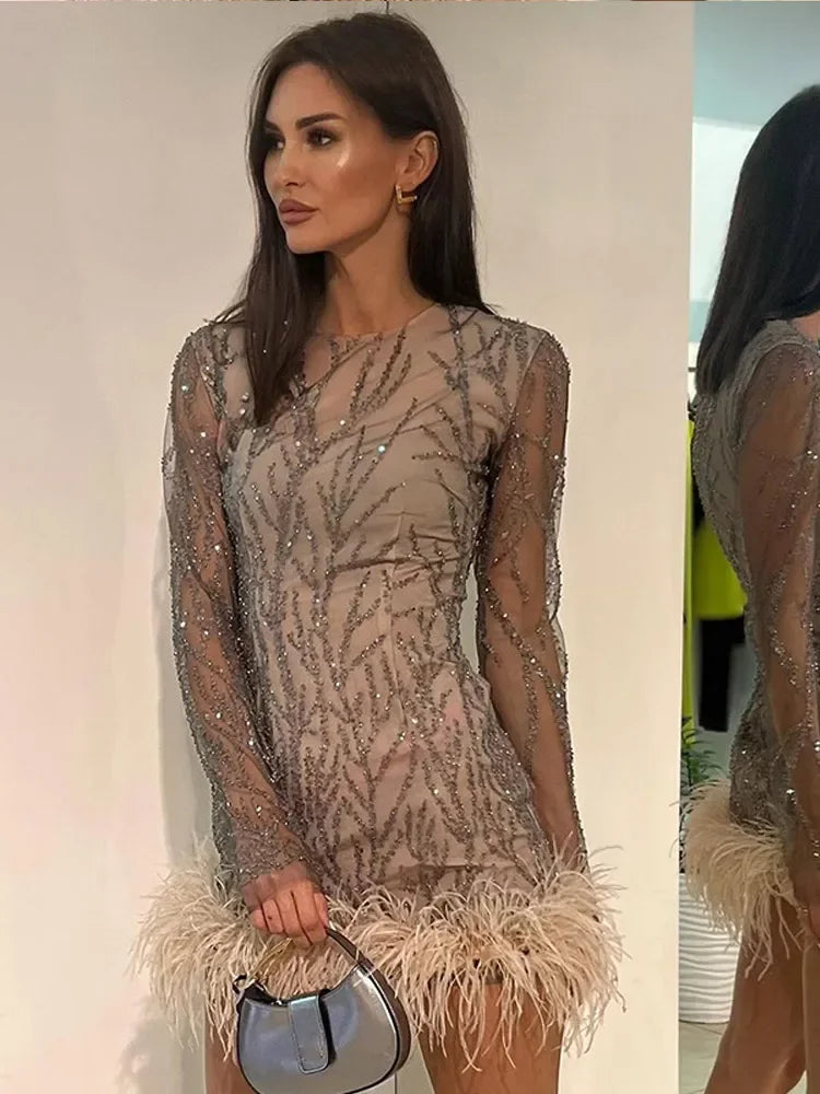 Feather Mesh Sheer Sleeve Party Dress