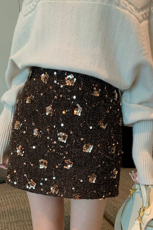 Embroidered Sequin High Waist A-Line Skirt