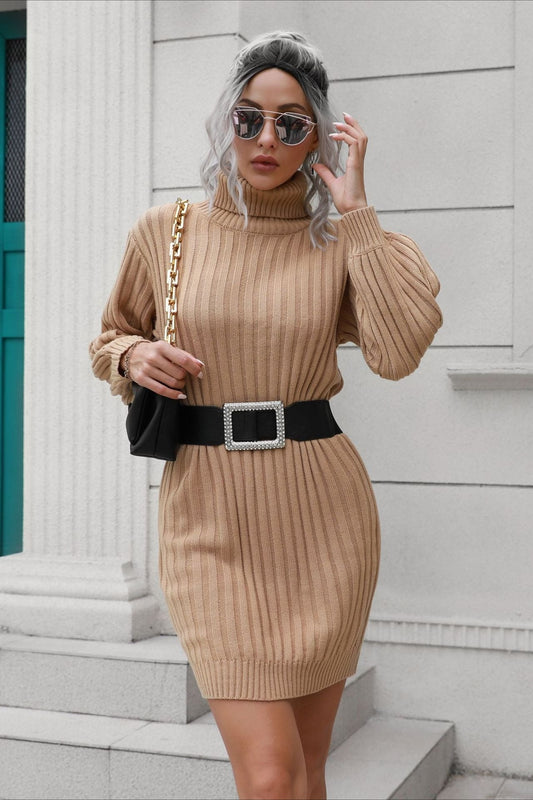 Short Ribbed Turtleneck Sweater Dress