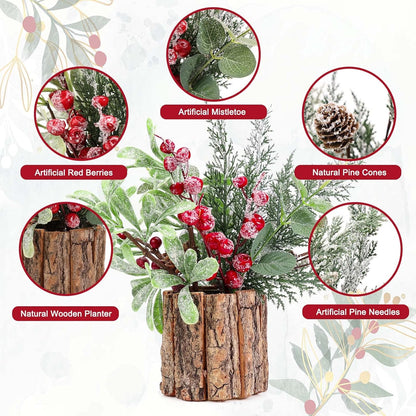 Christmas Centerpiece Decoration with Potted Plants, Greenery Pine Needles, and Red Berry Stems - Festive Home and Office Decor