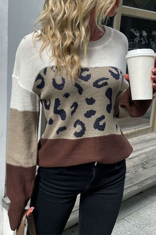Casual Leopard Contrast Sleeve Sweater