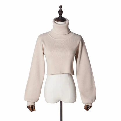 Trendy Casual Loose Sexy Fashionable Solid TurtleNeck Long Sleeve Knit Crop Christmas Sweater