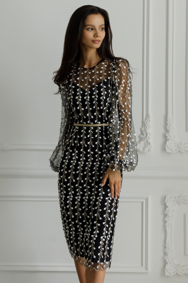 Embroidered Sheer Stylish Fitted Dress