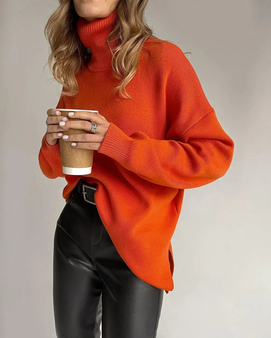 Colorblock  Turtleneck  Thick Sweater