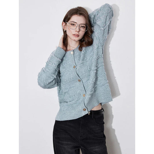 Round Neck Jacquard Embroidered Cardigan Sky Blue / S Cardigan-241208