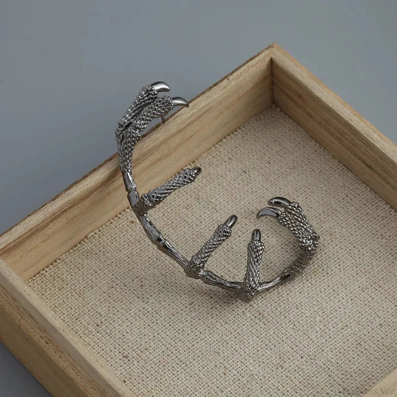 Antique Dark Dragon Talon Zinc Alloy Earring