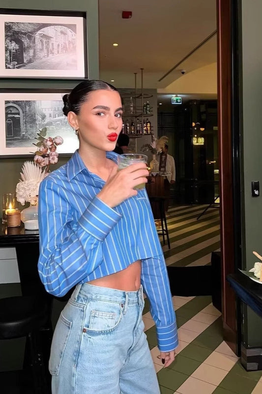 Striped Long Sleeve Loose Short Shirt Blouse