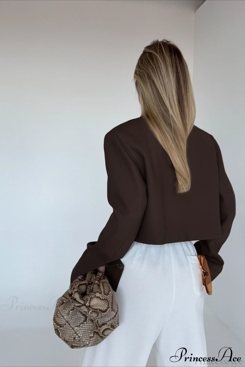 Brown Zip Short Jacket Chic Coat