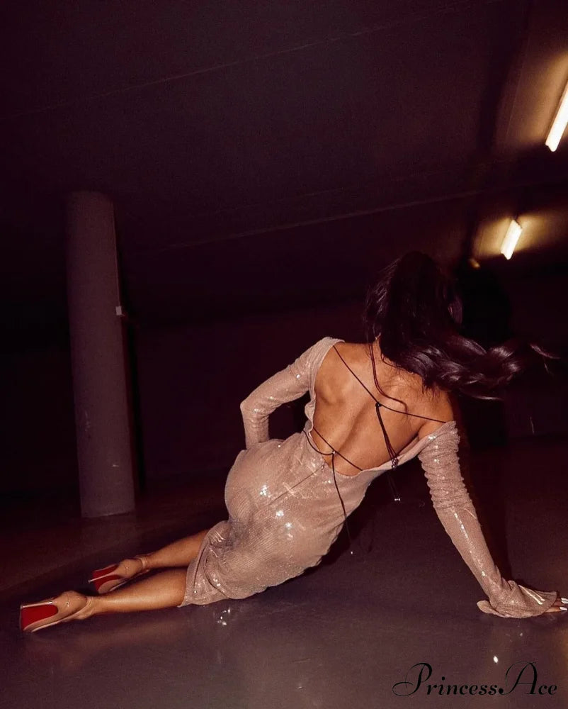 Chloi Lace Stylish Up Sequin Dress