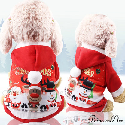 Christmas Dog’s Funny Clothes & Sweater