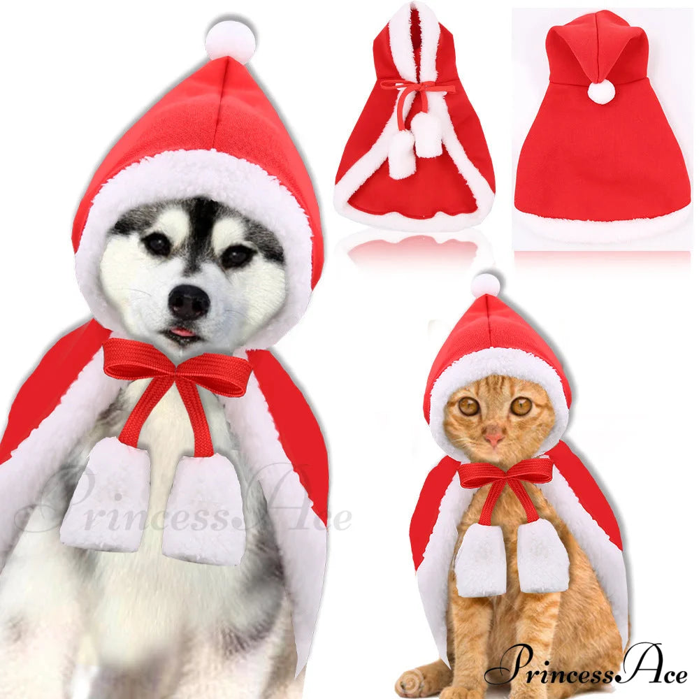 Christmas Dog’s Funny Clothes & Sweater