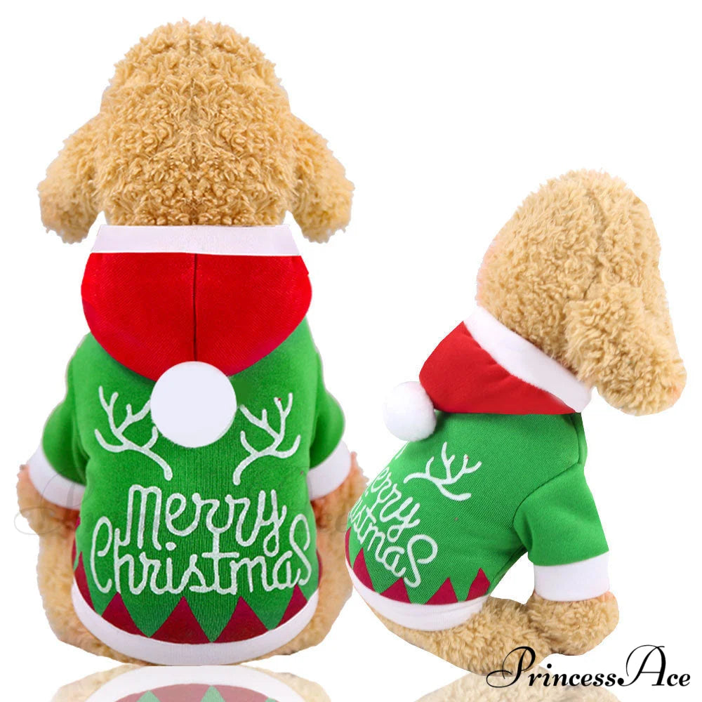 Christmas Dog’s Funny Clothes & Sweater