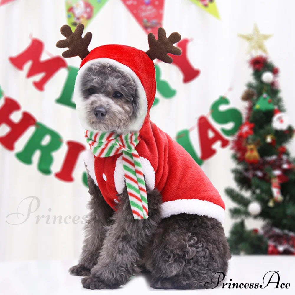 Christmas Dog’s Funny Clothes & Sweater