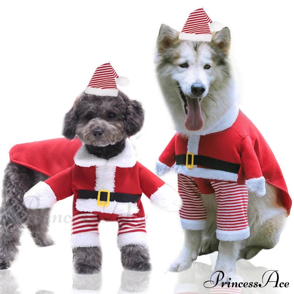 Christmas Dog’s Funny Clothes & Sweater Two Piece Set For Standing Elderly / Xs