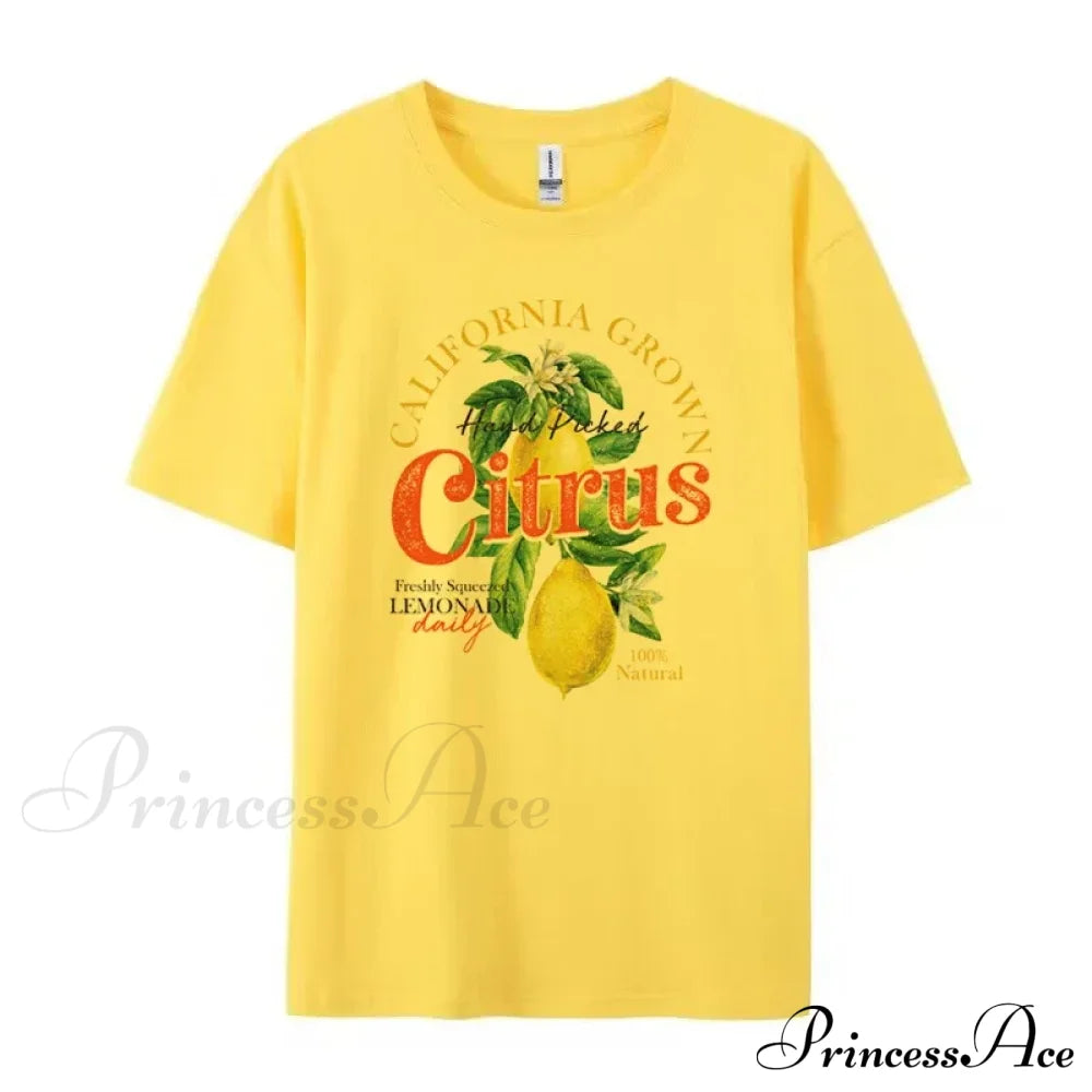 41072824189010|41072824221778|41072824254546|41072824352850|41072824385618