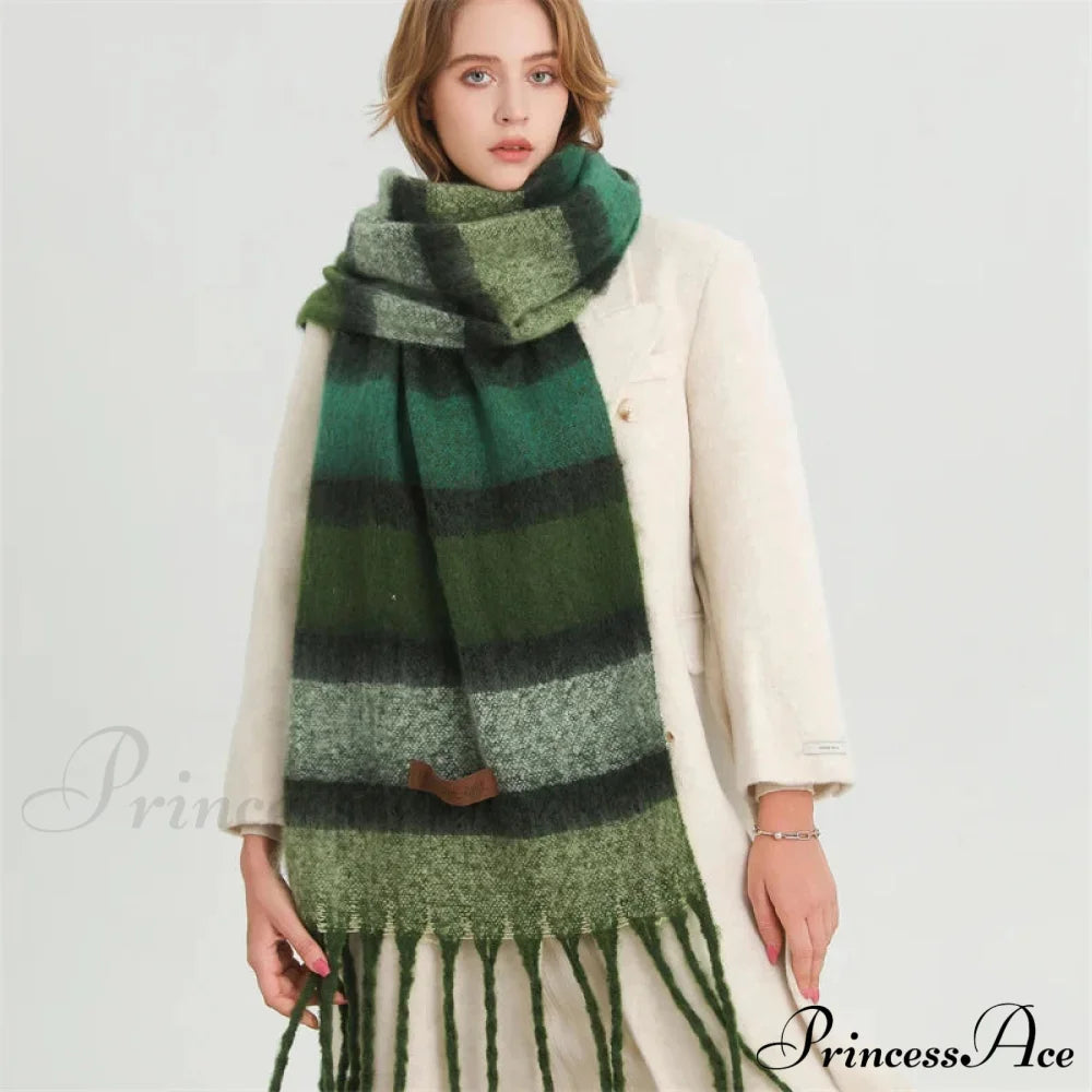 Color Blocked Stripe Cashmere Pashmina Scarf Scarfs-L