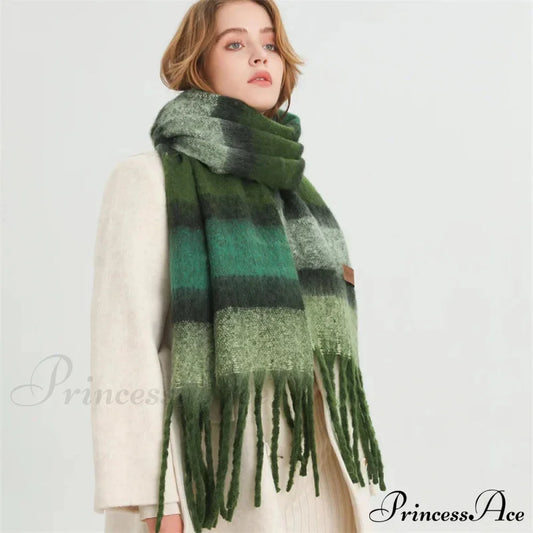 Color Blocked Stripe Cashmere Pashmina Scarf Scarfs-L