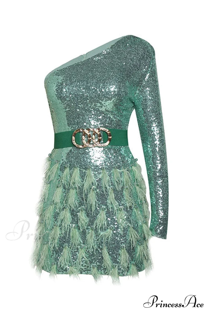 Daria One Shoulder Sequin Feather Dress | Dress In Beauty