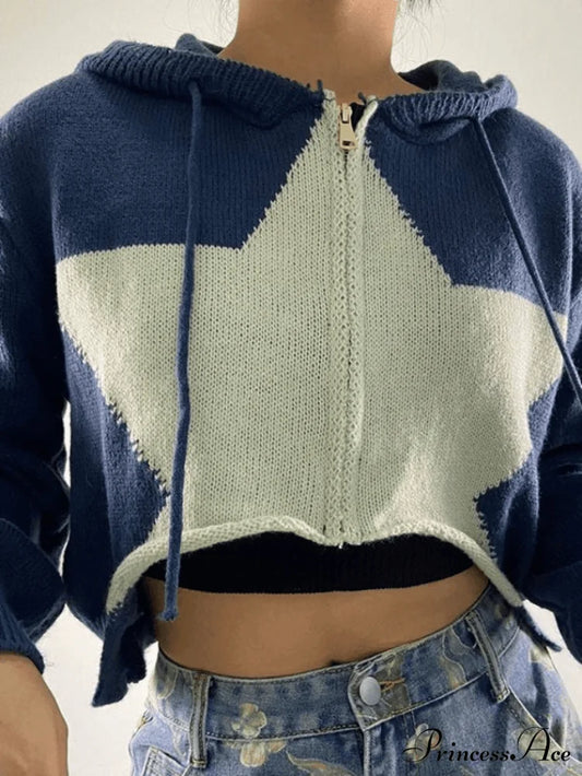 Hooded Solid Color Trendy Casual Sweatshirt Dress Blue / S Sweaters