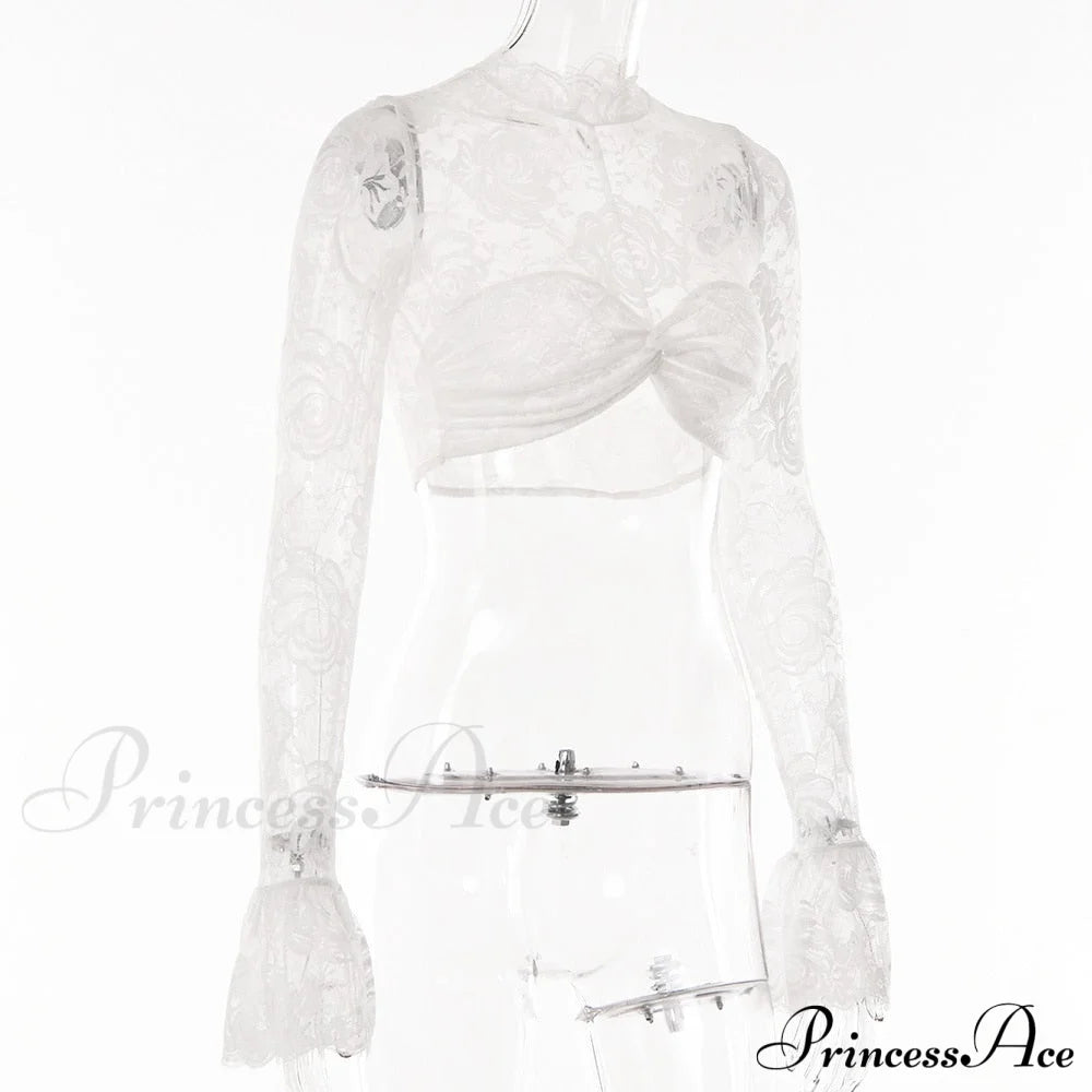 Long Sleeve Lace Charming Mesh Crop Top
