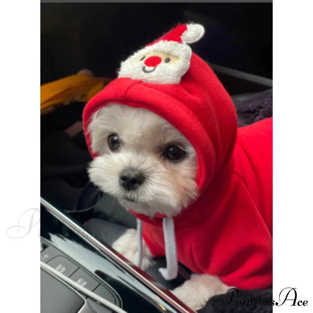 Pet Dog Winter Autumn Drawstring Hoodie Red / Xs