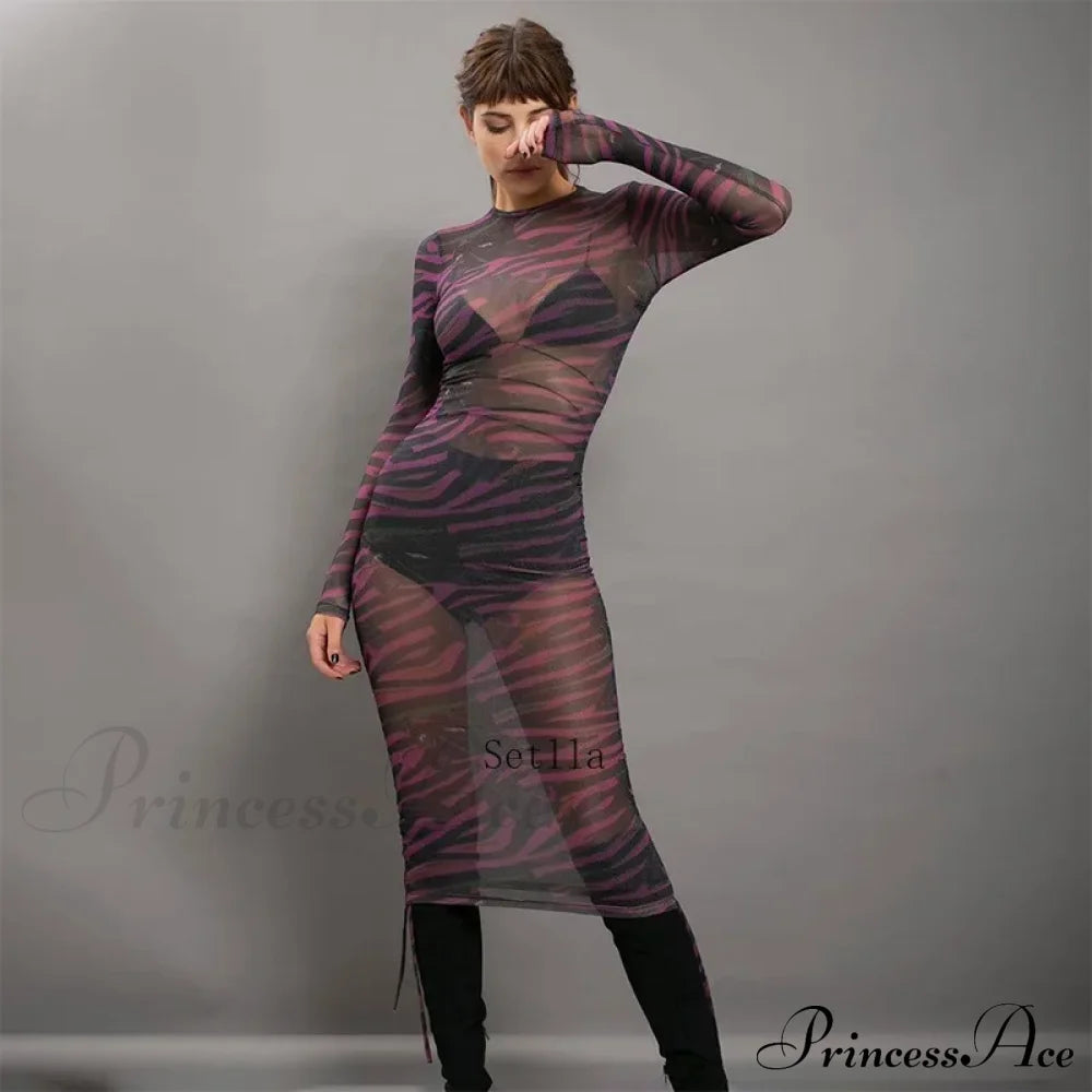 Print Mesh Drawstring Ruched Clubwear Mini Dress