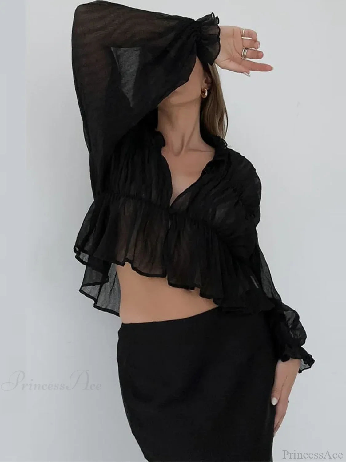 Retro Sheer Mesh Lantern Sleeve Blouse blouse-250223