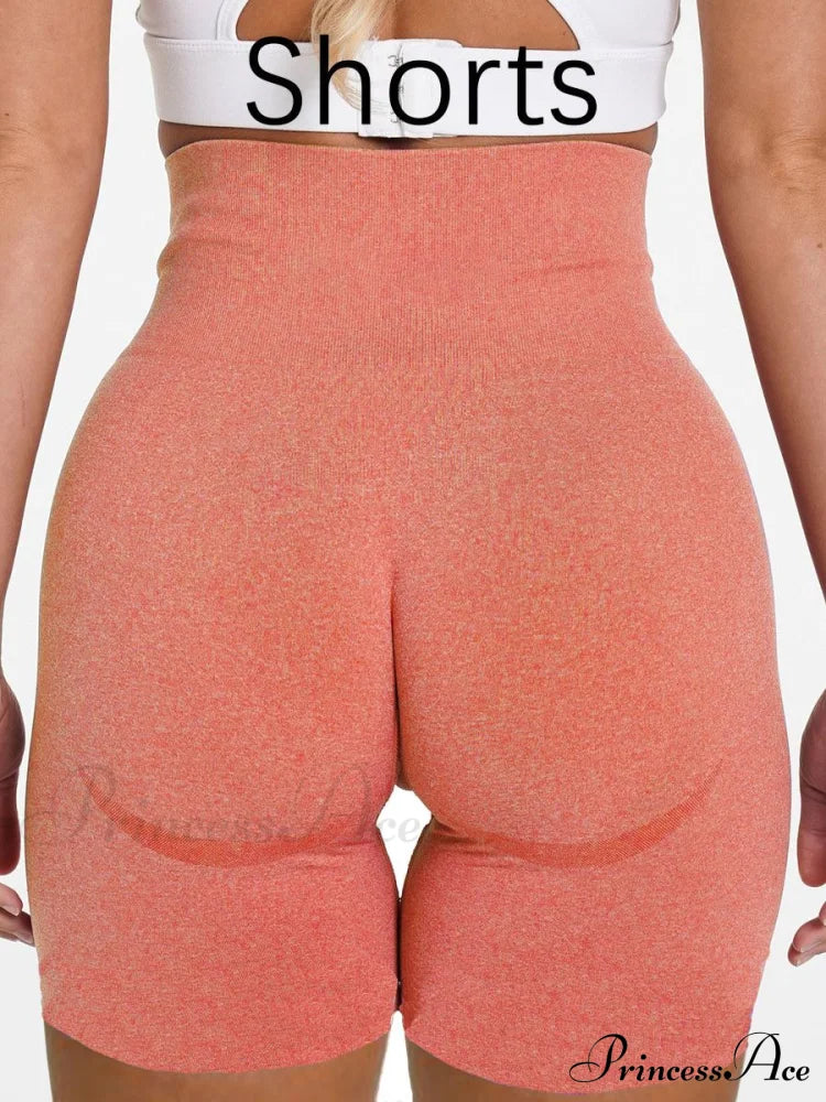 Sport Slim Shorts Seamless Leggings Orange / S