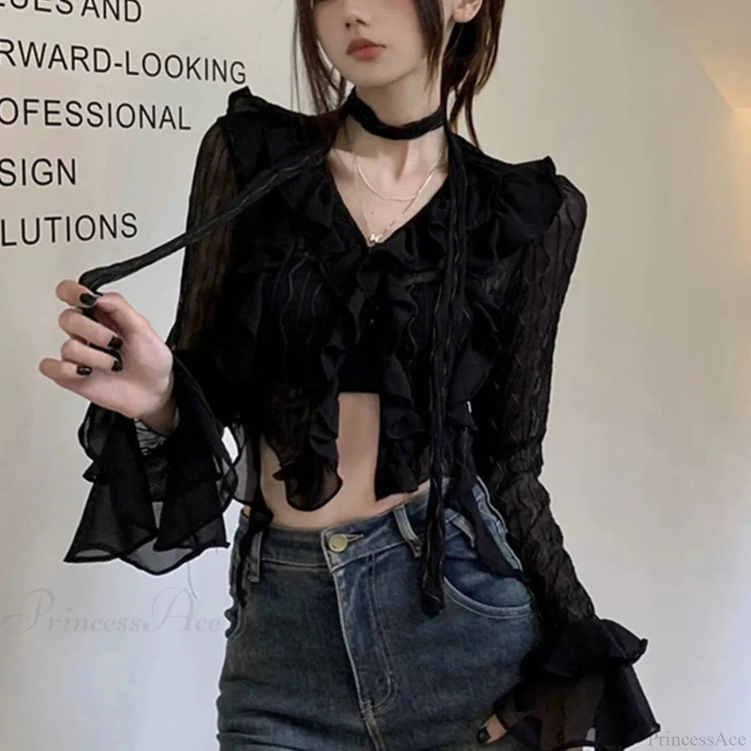 Transparent V-neck Flared Sleeve Blouse black / One Size