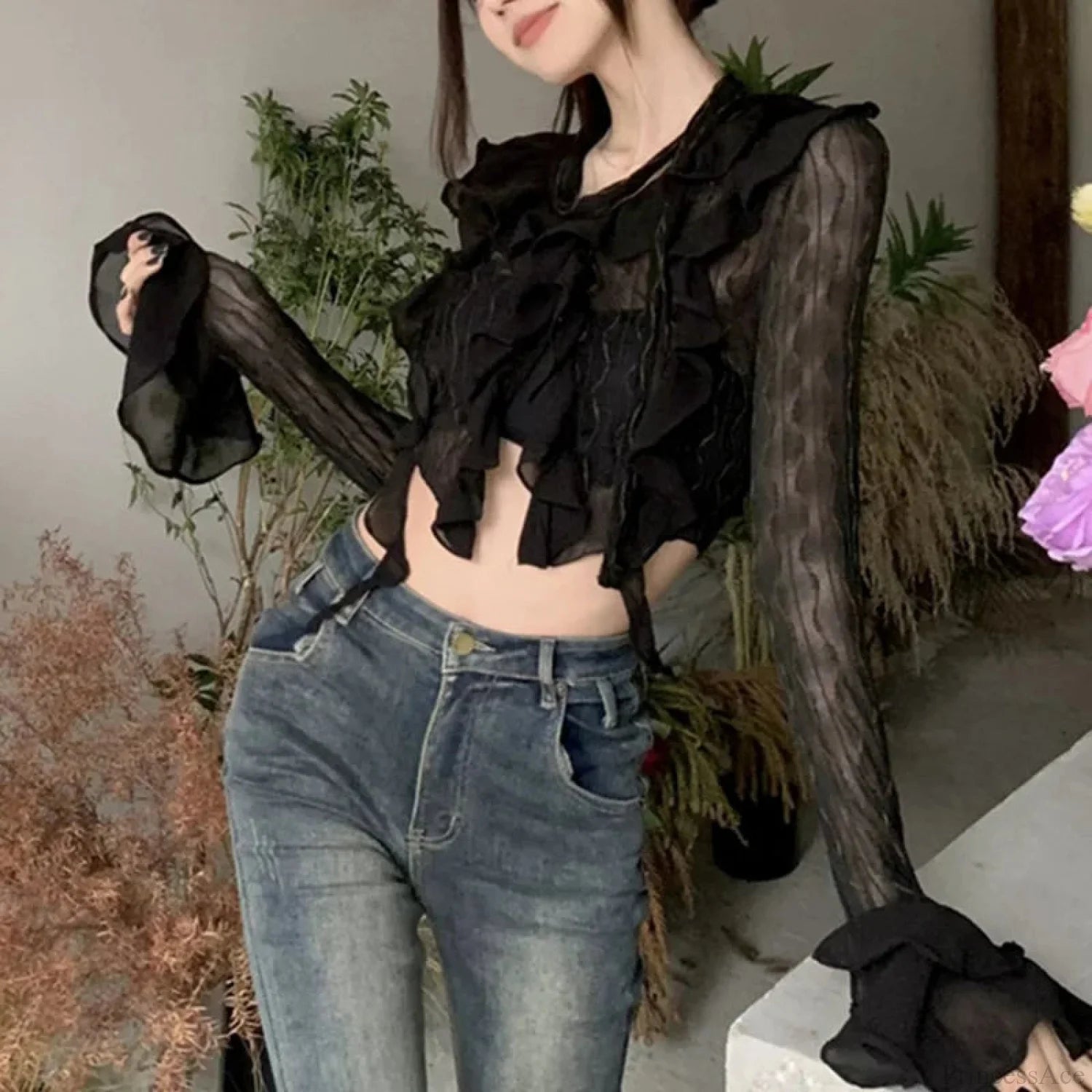 Transparent V-neck Flared Sleeve Blouse black / One Size