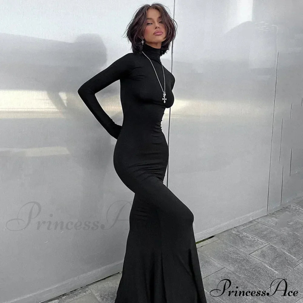 Turtleneck Sleeve Maxi Dress